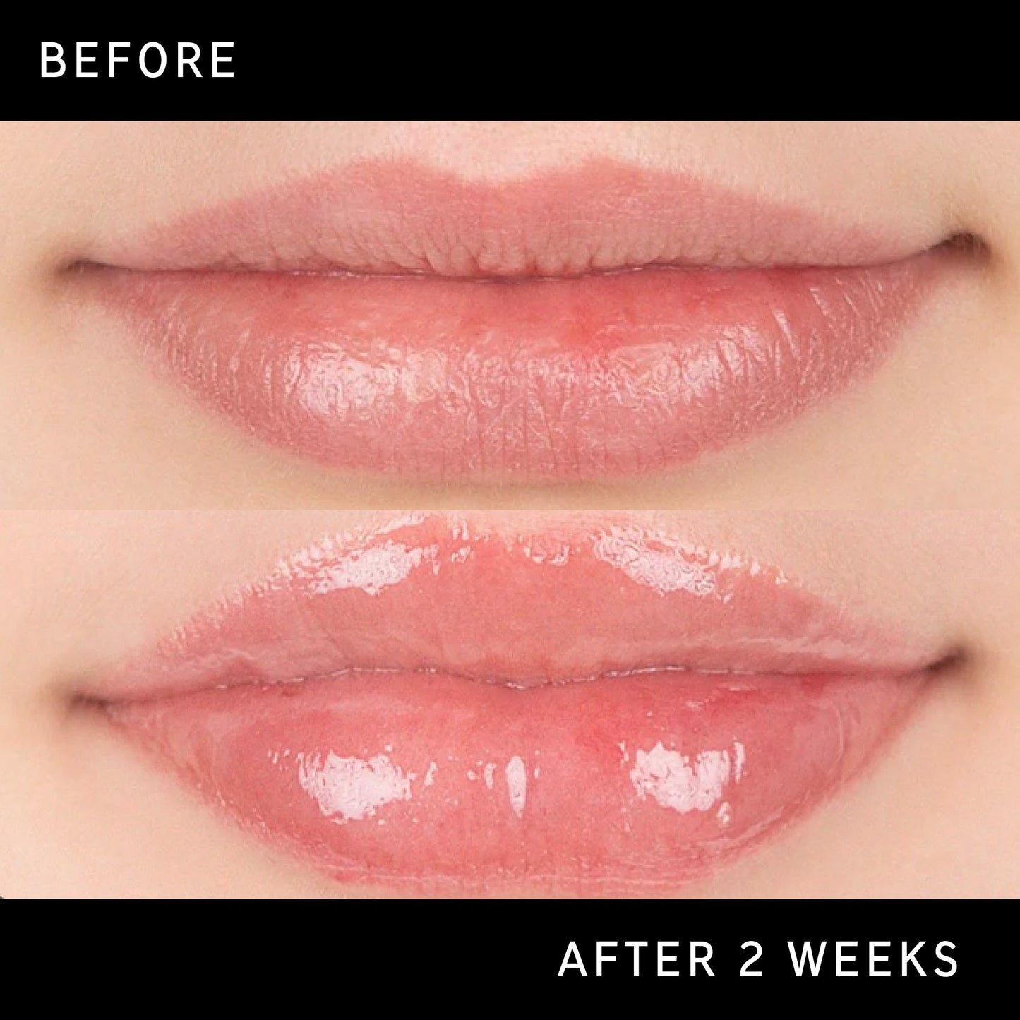 lip-plumping-duo-b1 DTC-Top15_Amends_Tripeptide-Lip_B_A.jpg